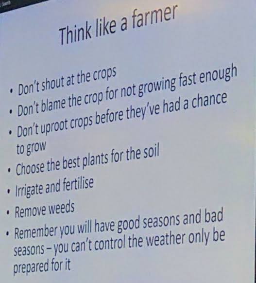 Gogo | Dota for Toxicity tweet media