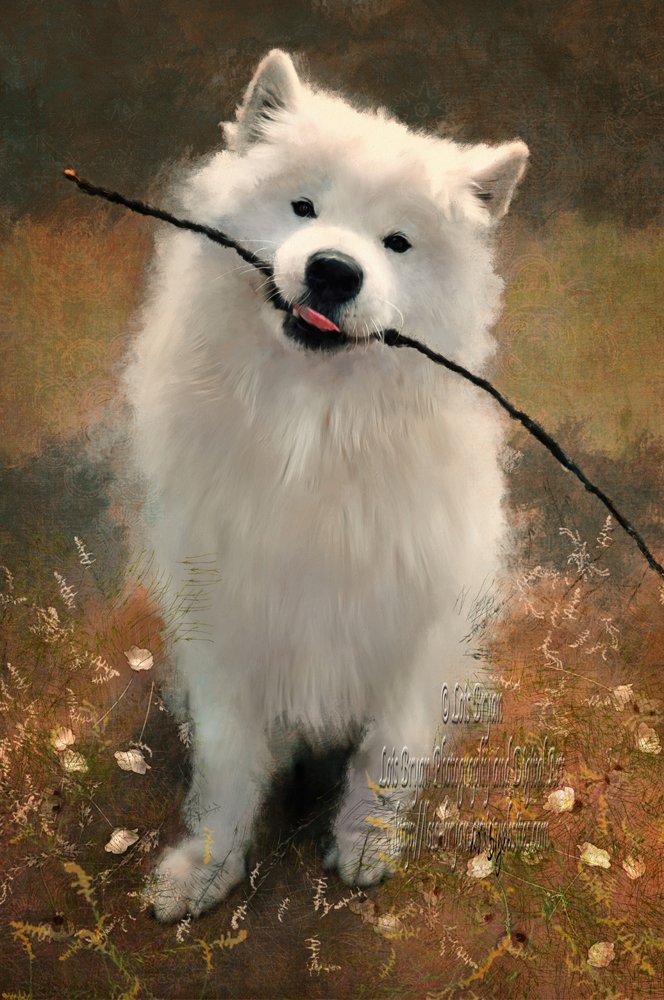"Let's Play Fetch" DescriptionA big, fluffy white Samoyed dog proudly shows off his favorite new toy, a stick. lois-bryan.pixels.com/featured/lets-… #art #gifts #dogs #samoyed #buyintoart #ayearforart #samoyeds #animals #LoisBryan #MeganBryan #animals