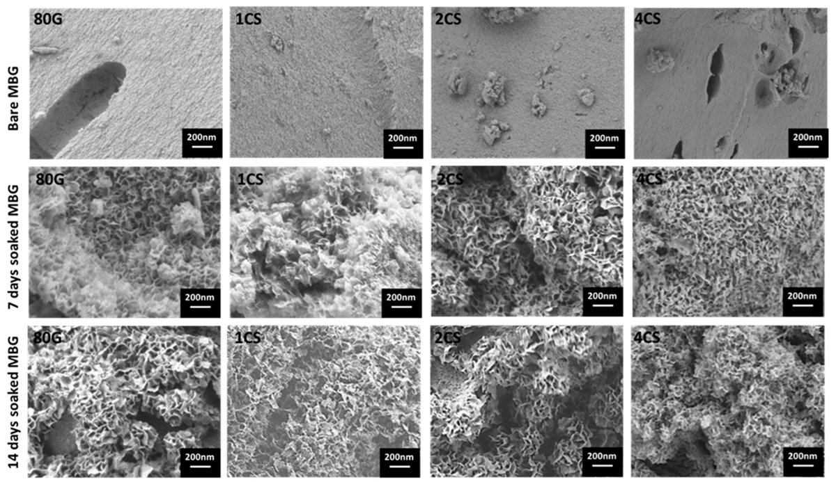 Gels_MDPI's tweet image. #Highly_cited 
📢 &quot;Influence of  Copper-Strontium Co-Doping on Bioactivity, Cytotoxicity and  Antibacterial Activity of Mesoporous Bioactive Glass&quot; by  Akrity Anand et al.

👉mdpi.com/2310-2861/8/11…

#mesoporous_glass
#bioactivity
#cytotoxicity
#antibacterial_activity