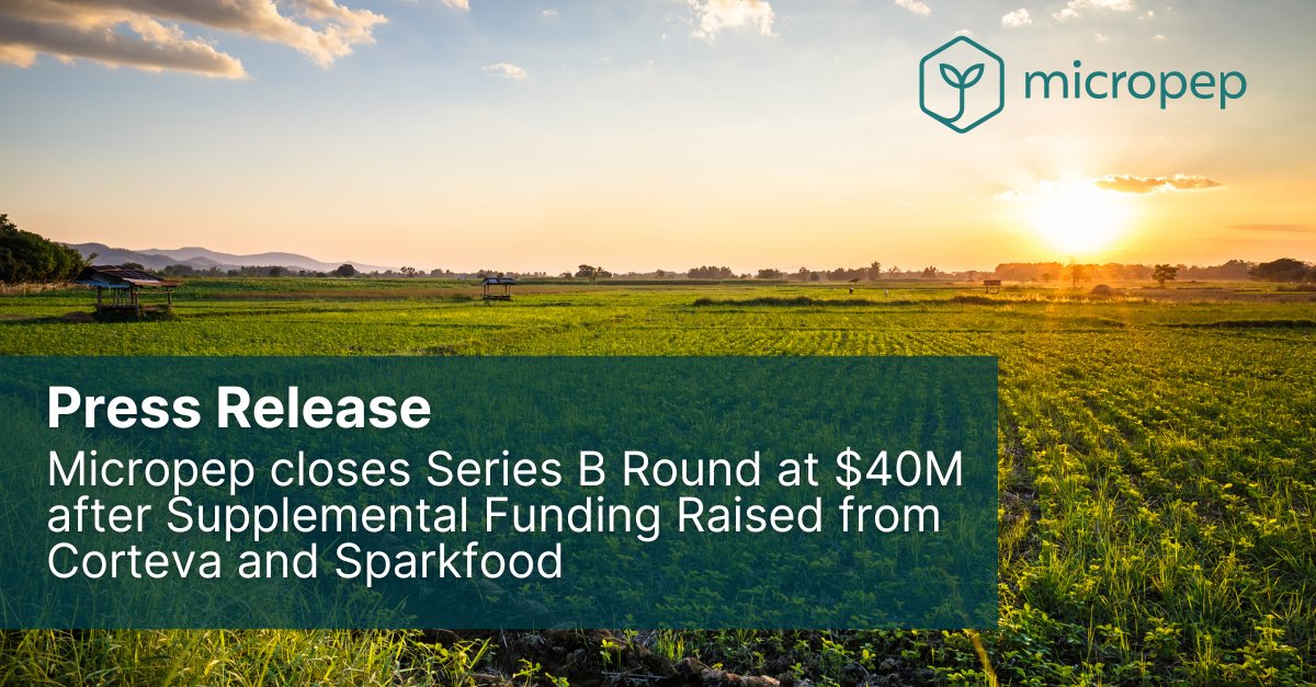 MicropepTechnologies (@micropep) on Twitter photo We are proud to announce the closing of our Series B funding round with an additional $11 million commitment from new investors <a href="/corteva/">Corteva Agriscience</a> Inc. through its Corteva Catalyst platform, @Sparkfood SA.
Read more here: micro-pep.com/micropep-media…
#agtech #sustainableagriculture We are proud to announce the closing of our Series B funding round with an additional $11 million commitment from new investors <a href="/corteva/">Corteva Agriscience</a> Inc. through its Corteva Catalyst platform, @Sparkfood SA.
Read more here: micro-pep.com/micropep-media…
#agtech #sustainableagriculture