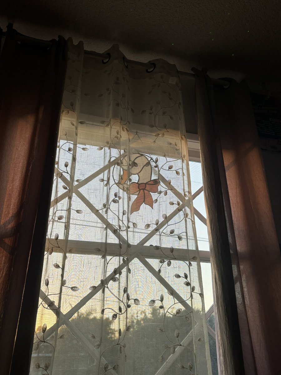 kaapykid's tweet photo. she’s giving delicate, ethereal https://t.co/JJJI0lGYcl