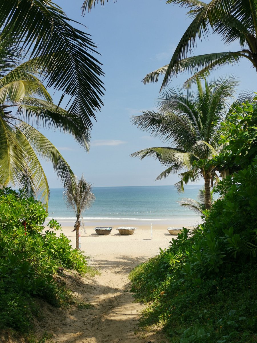 Nomads Beyond tweet media