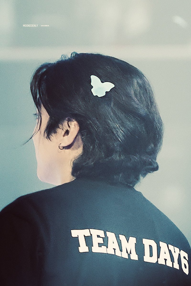 240921 머리위에 살포시 앉은 파란나비🦋