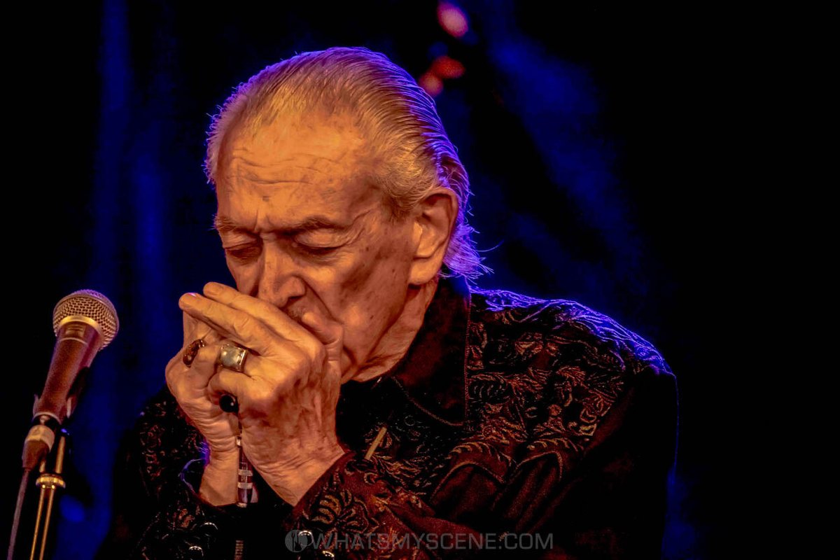 What's My Scene tweet media