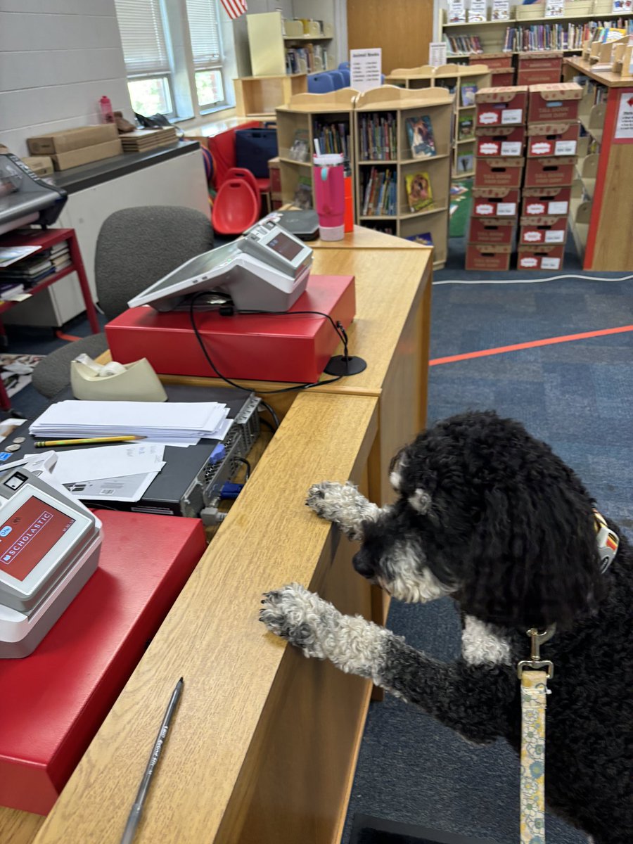 Even Sunny wanted to buy a book at the book fair this week!@JFBKnights
