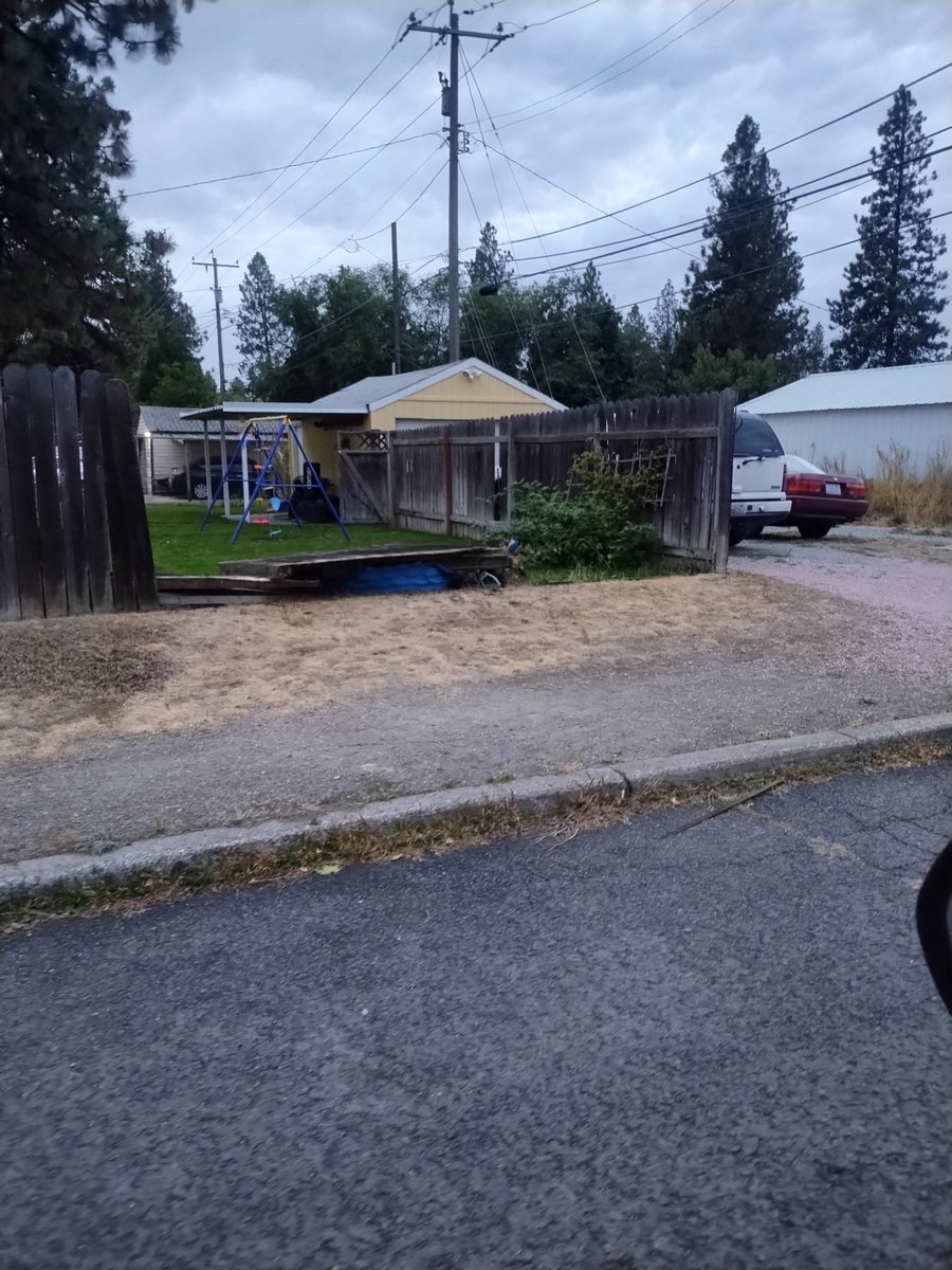 Thomas Neel tweet media