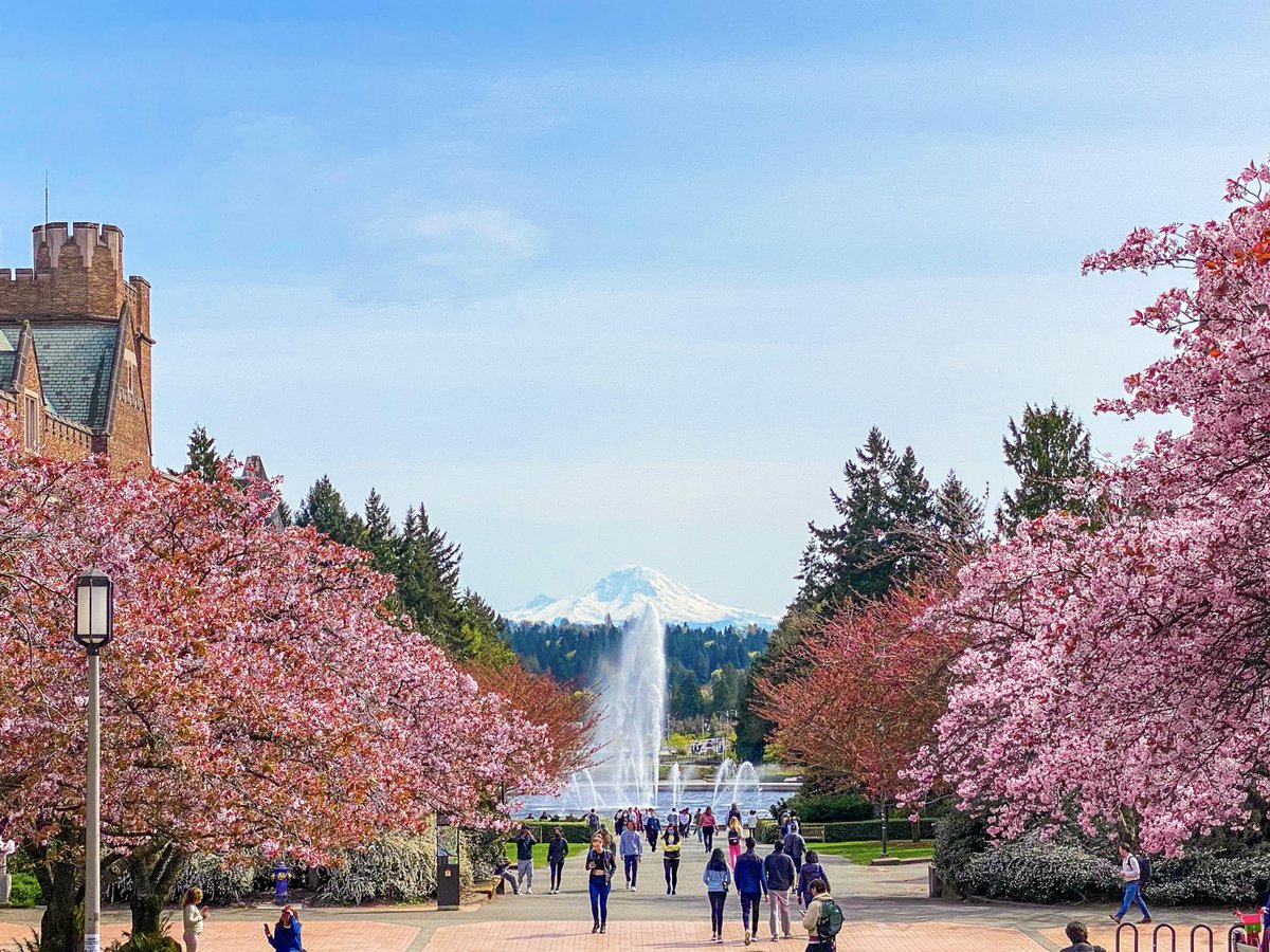 Lucy Jiang tweet media