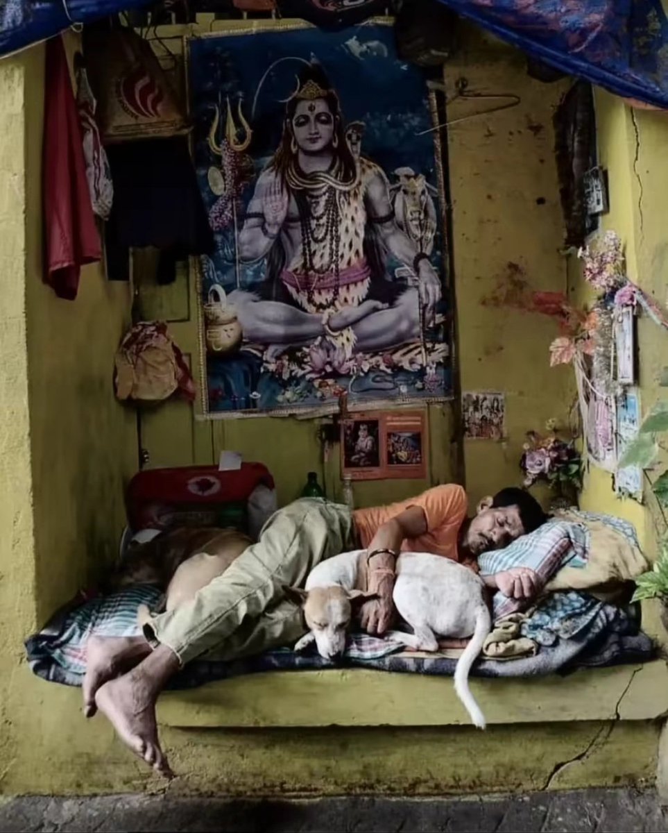 Someone's happy world ❤️✨️