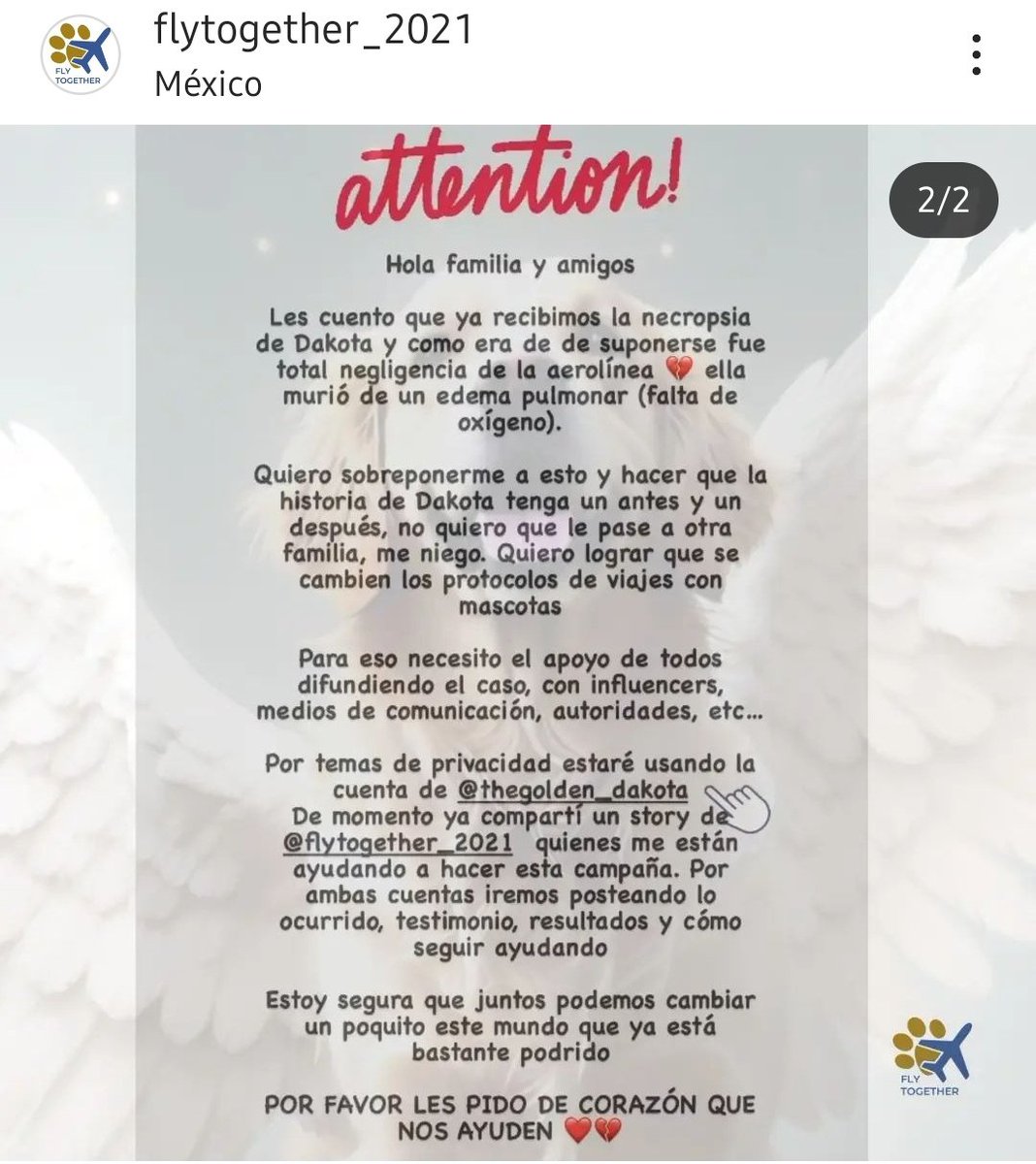 gutpersson's tweet photo. @JaliscoRojo Así como se está  haciendo justicia por este inocente lomito maltratado por una psicópata. AYUDENOS con el caso dDakota! @viajaVolaris la dejó s/oxígeno en un vuelo de 2 hras!No procuraron su seguridad.Le arrebataron la vida.Dstruyeron una familia. @flytogether2021 lleva el caso https://t.co/2Xxdxqi6bL