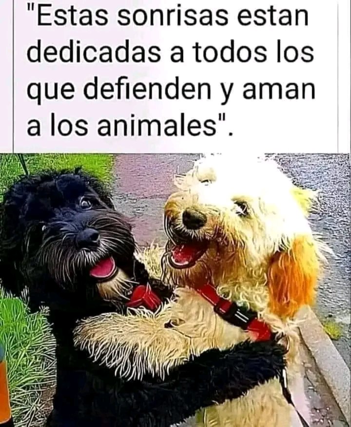 PavezPaul86008's tweet photo. https://t.co/63k6pGpUt1