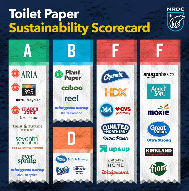 NatureCanada's tweet image. It&apos;s National Forest Week.... Are your tissues sustainable? Or are the contributing to biodiversity destruction of Canada&apos;s boreal forest? 

Check out the new report from our friends at @NRDC, and rate your brand! cbc.ca/news/science/t…

#NationalForestWeek #SustainableLogging