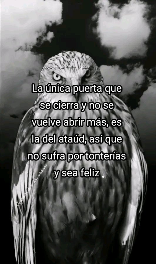 PavezPaul86008's tweet photo. https://t.co/akpueicnBT