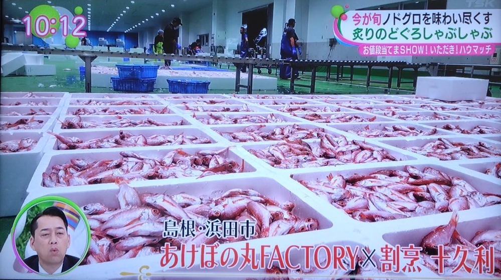 SuisanHamada's tweet photo. 本日、フジテレビ系列の『ノストップ！』で当社系列会社の「あけぼの丸FACTORY」の【炙りのどぐろしゃぶしゃぶセット】が紹介されました！
https://t.co/NEmog6wiqw

#あけぼの丸 #漁師 #底曳 #沖底 #漁船 #あけぼの丸FACTORY #のどぐろ #赤むつ https://t.co/eCzoMm1gYP