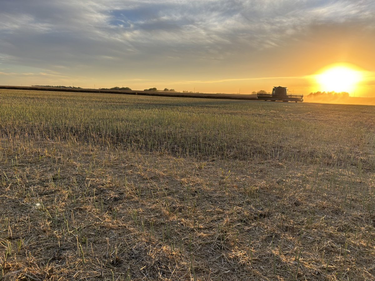 Meals in the field with a customer tonight! Gorgeous night and this weather is great to have at the end of September! 
#Harvest24 <a href="/UFAcooperative/">UFA Co-operative</a>