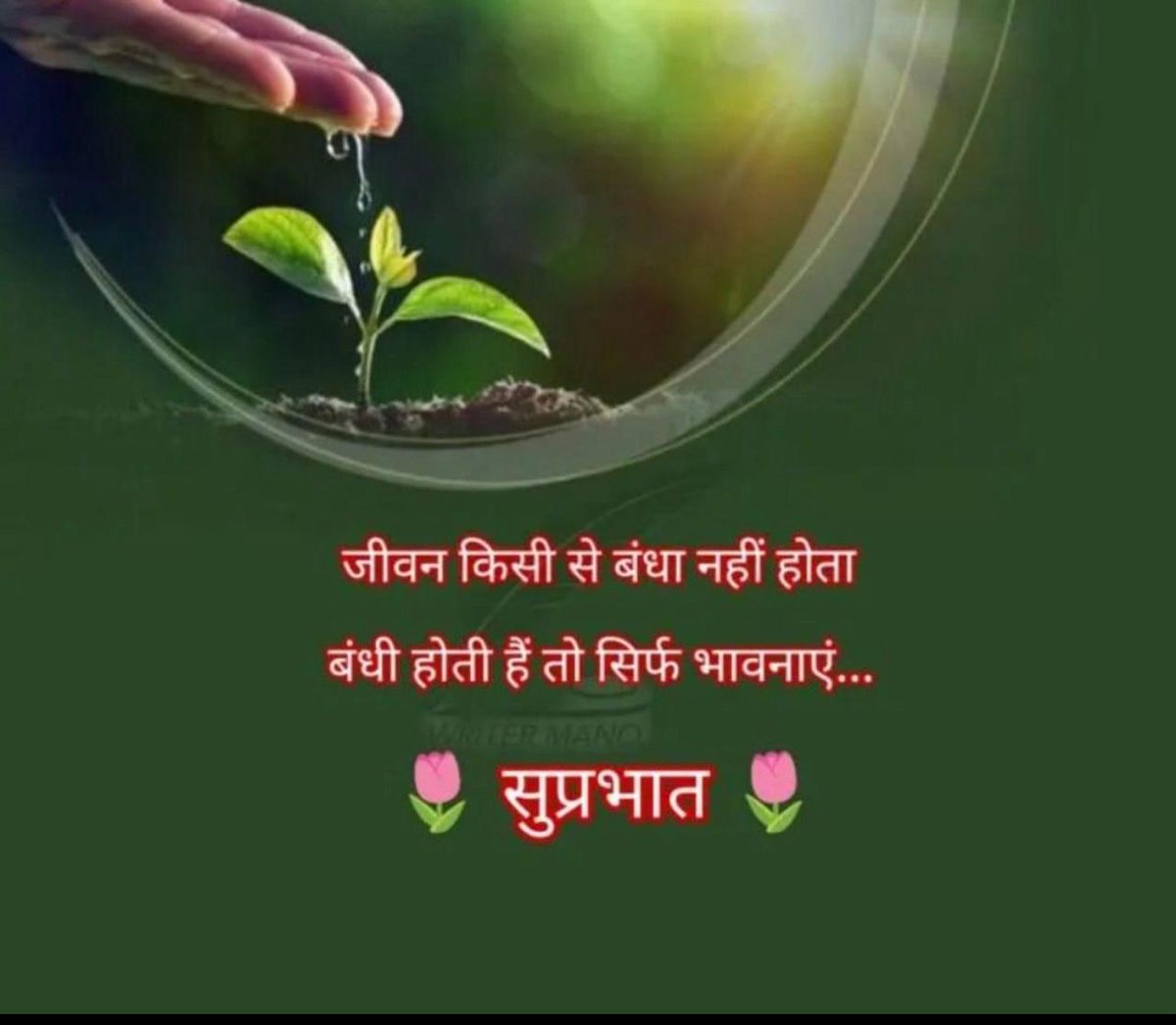 RajeahAarav's tweet photo. @TheOshinSharma https://t.co/Y9QGTs98ZP