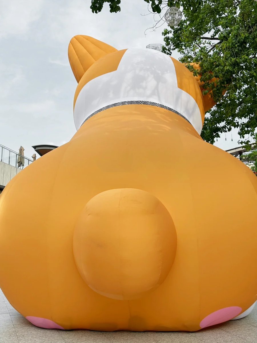 fuyiinflatable's tweet image. #corgi #inflatabledog #inflatableanimals #mascot #fuyiinflatable Lovely Corgi Inflatable Shape Balloon , wonderful decoration inflatable dog mascot for events