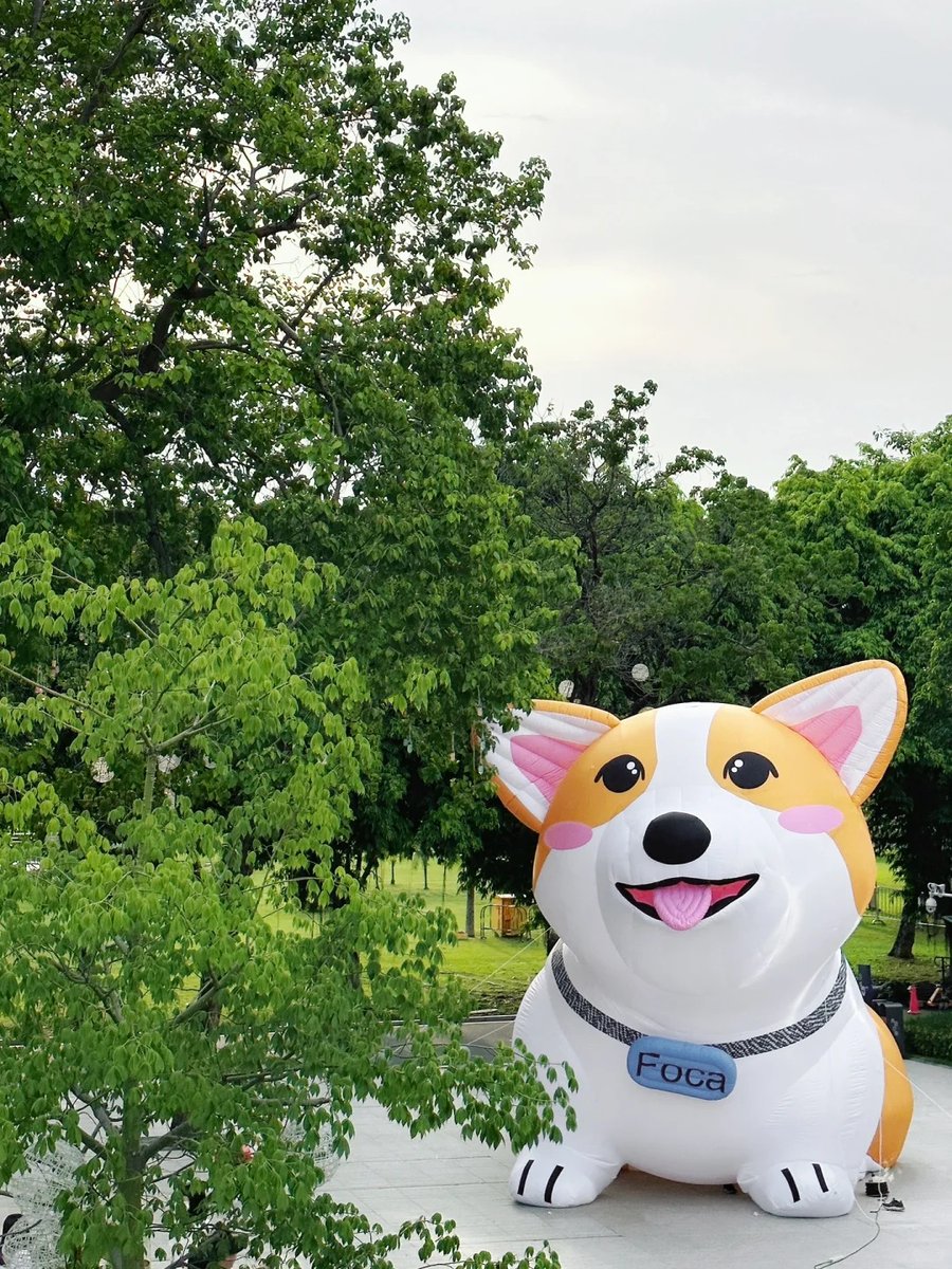 fuyiinflatable's tweet image. #corgi #inflatabledog #inflatableanimals #mascot #fuyiinflatable Lovely Corgi Inflatable Shape Balloon , wonderful decoration inflatable dog mascot for events