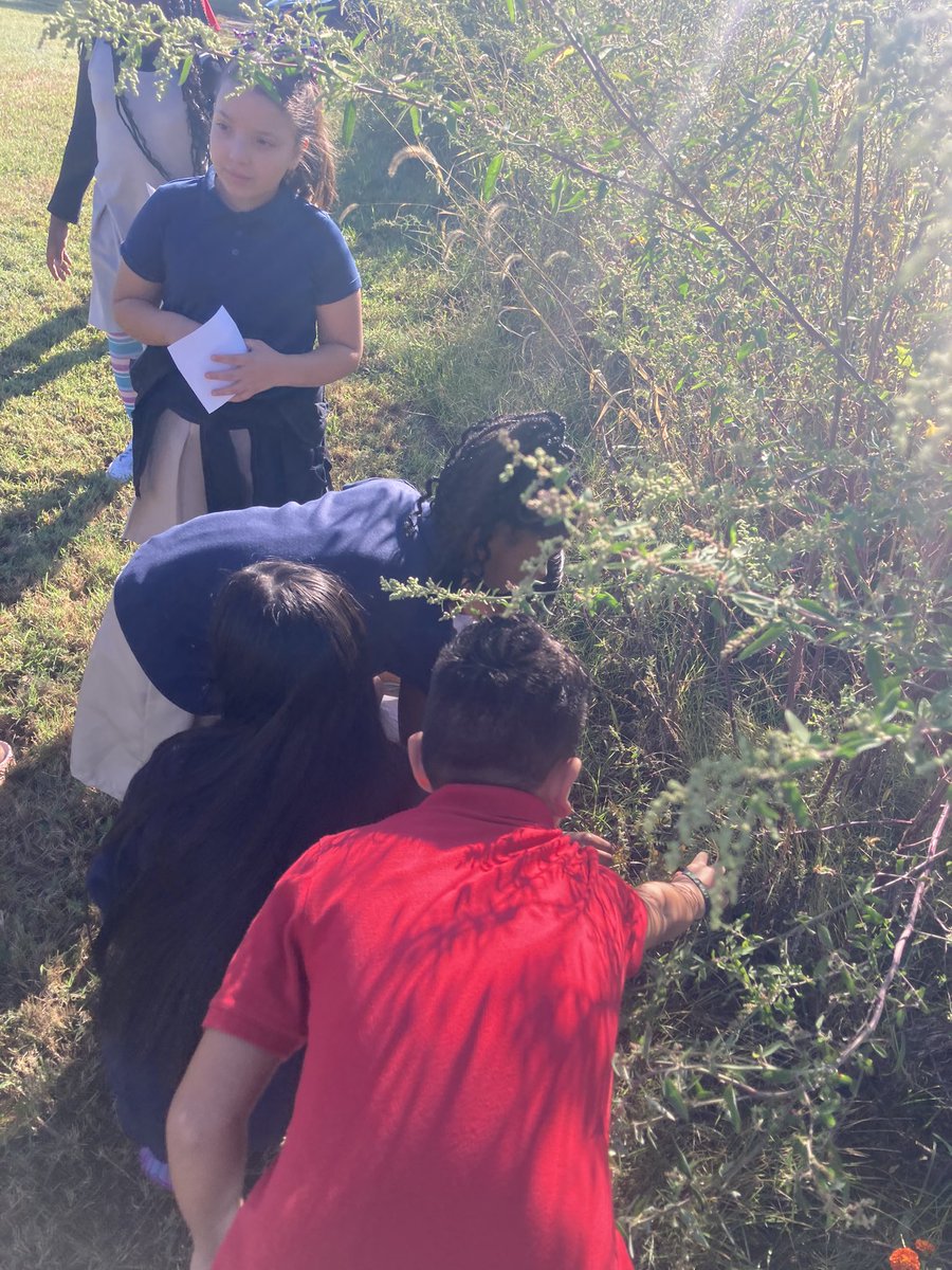 Quindaro Wildcats tweet media