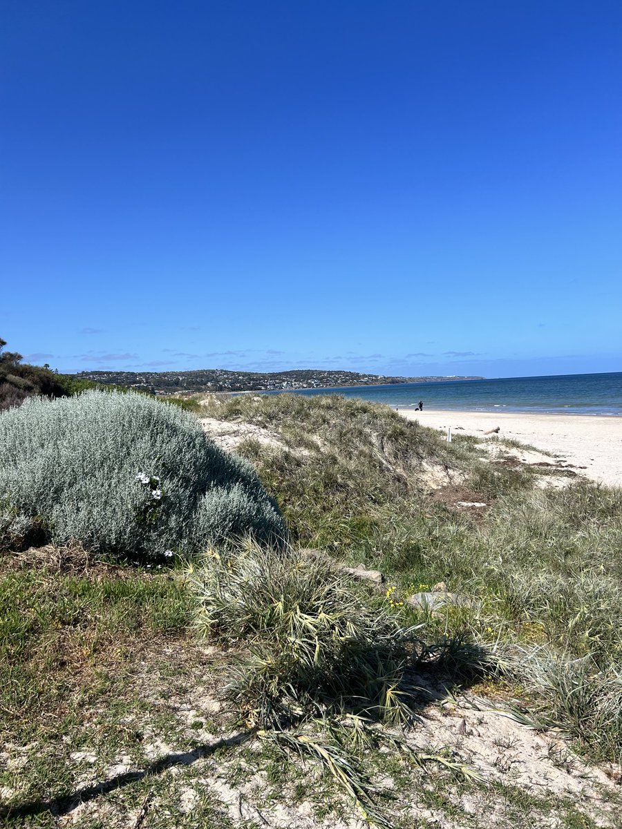 Practice Development tweet media