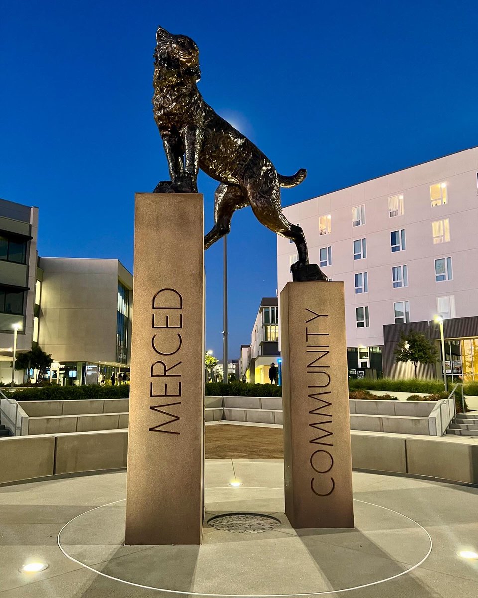 RufusBobcat's tweet photo. Love this new addition to UC Merced! 😻 Big Rufus has arrived! 🐾💙💛 https://t.co/5EzCQH8Rcp