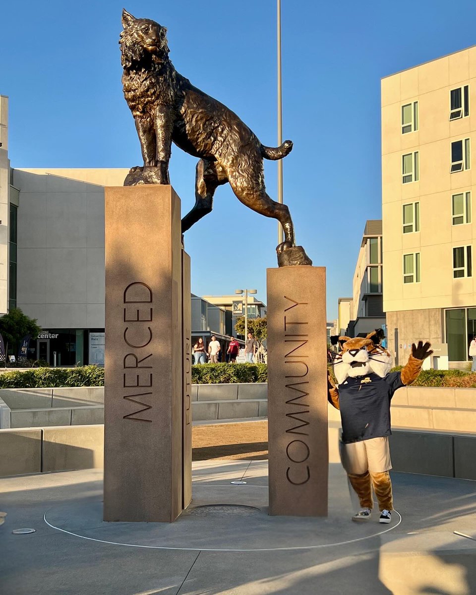 RufusBobcat's tweet photo. Love this new addition to UC Merced! 😻 Big Rufus has arrived! 🐾💙💛 https://t.co/5EzCQH8Rcp