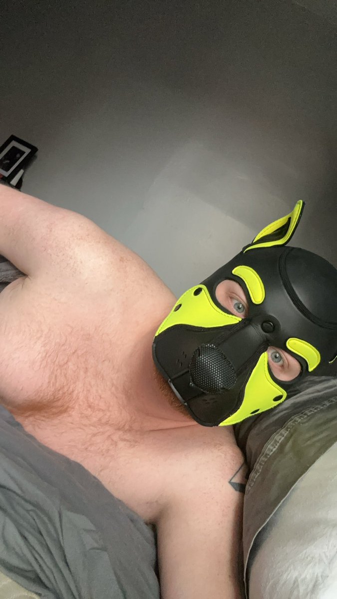 pupprism's tweet photo. This is now a jockstrap toll. One jockstrap picture is now required 😘 https://t.co/15gSEpqzXn