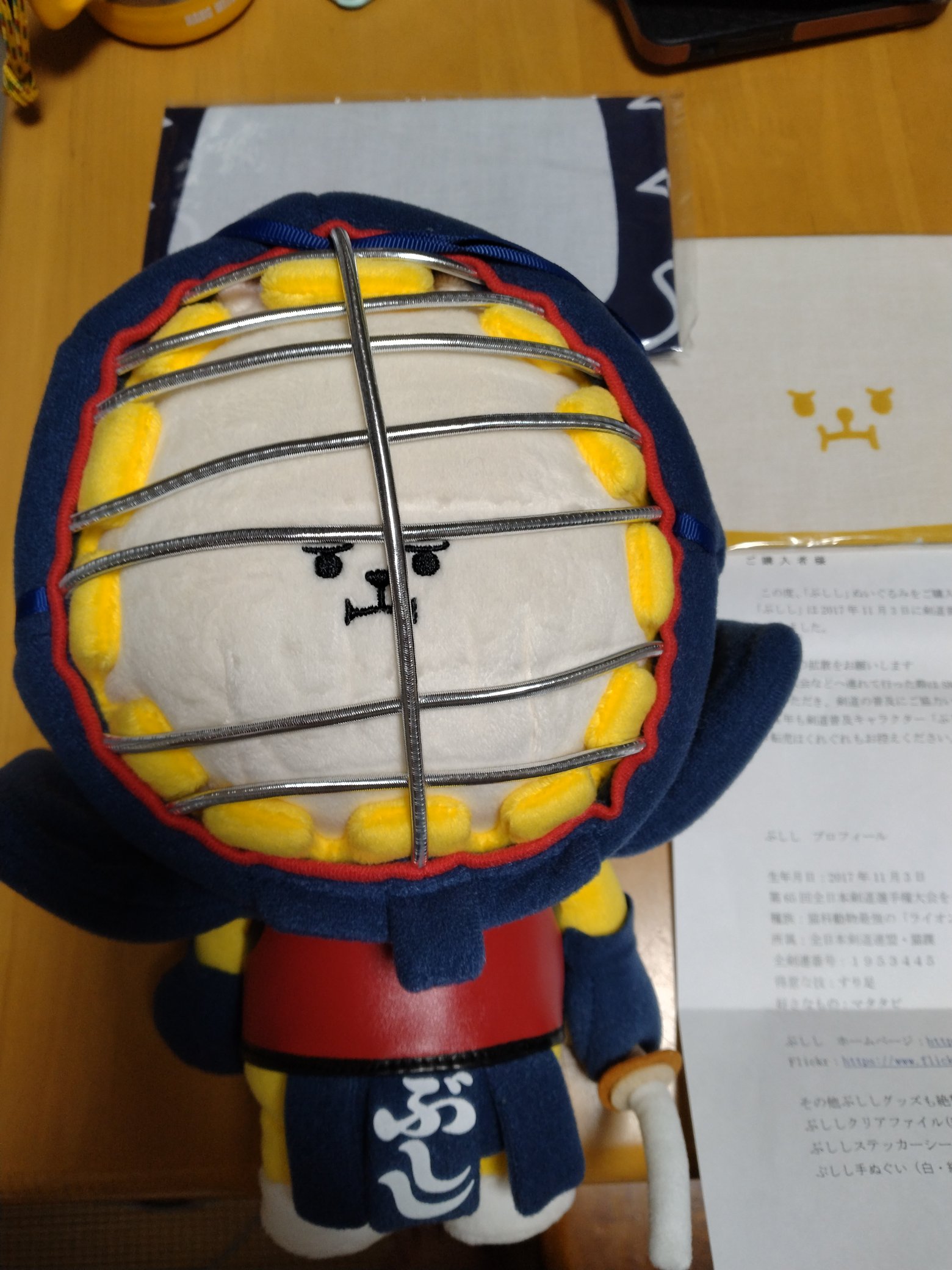 剣道ぶしし ぬいぐるみ （剣道普及キャラクター「ぶしし」誕生