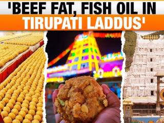 Ranraghini123's tweet photo. Sanatan Board for Temples

⭕ Animal fat used in #Tirupathi Balaji’s prasad laddus !😳

So, #Free_TTD_From_Govt

Read more👇🏻📖
https://t.co/h14MEhtSFy

@HinduJagrutiOrg #TirupathiLaddu #TirupatiPrasadam https://t.co/OpaCGfiYJ0