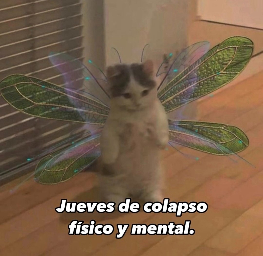 En Júpiter (@en_jupiter_) on Twitter photo 