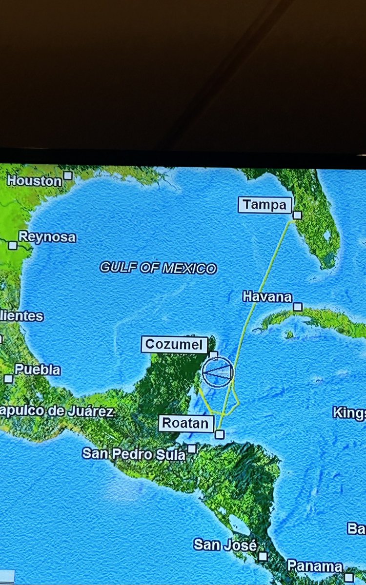 Lisa Fletcher tweet media