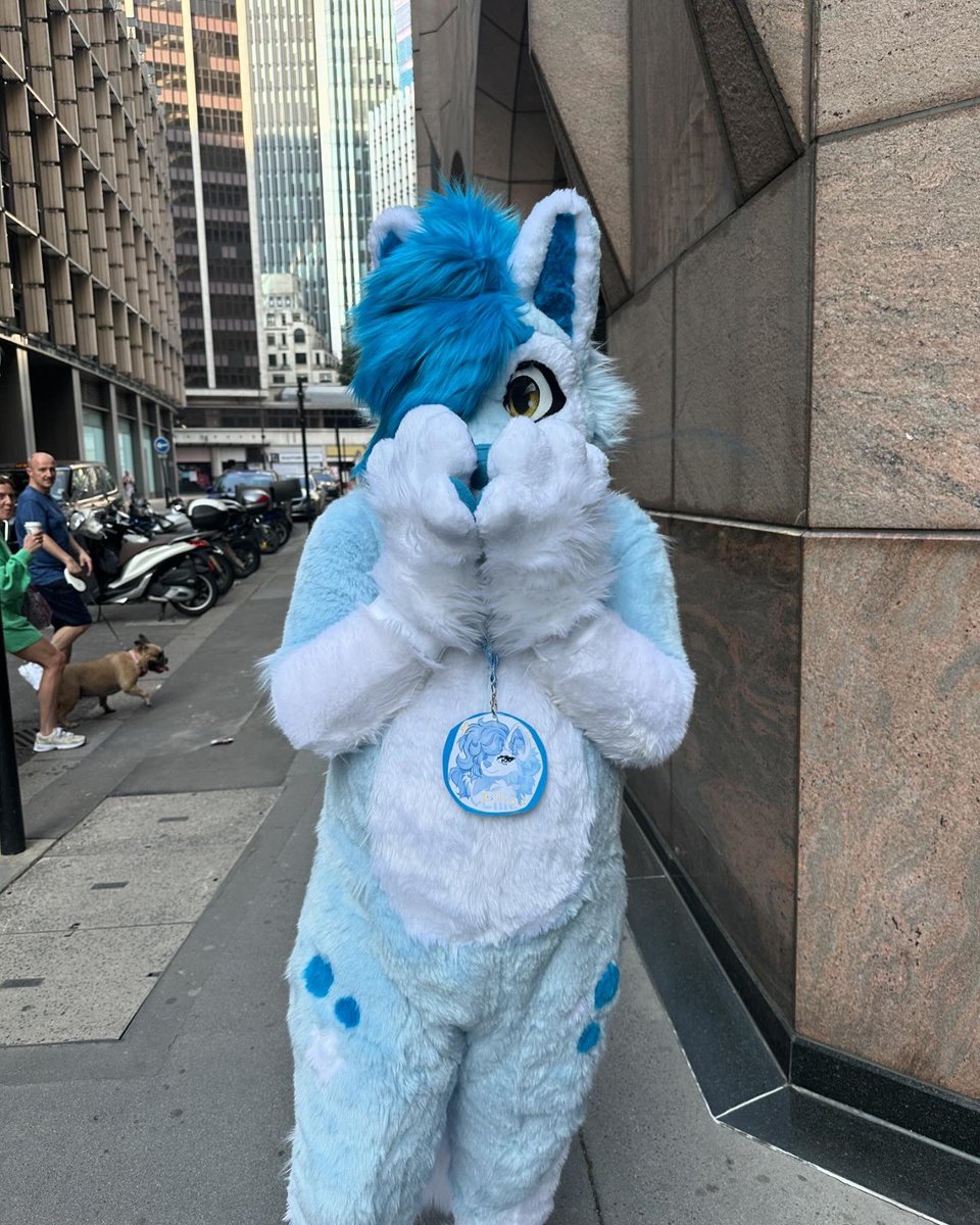 Ellz_115's tweet photo. First time suiting! Went to @LondonFurs last Saturday!
🩵🩵🩵
#furry #fursuit #Fursona https://t.co/W1siNDUn9K