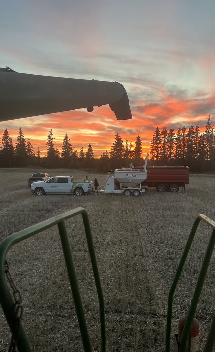 Randi Kuriga tweet media