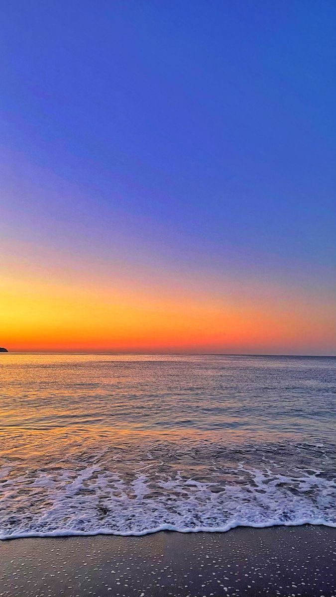 Aesthetics (@aestheticspost_) on Twitter photo 
