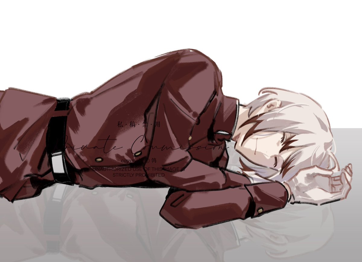 Motacilla tweet media