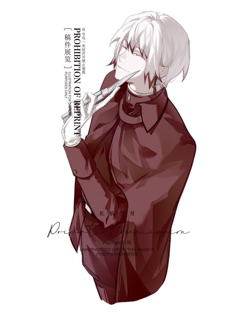 Motacilla tweet media