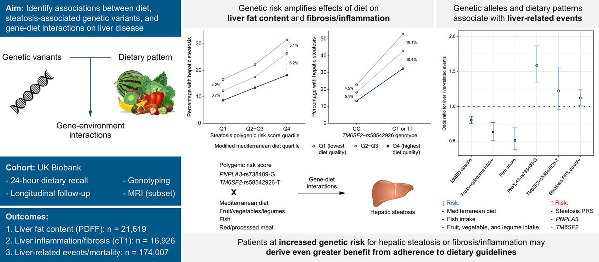 Genetic risk accentuates dietary effects on hepatic steatosis, inflammation and fibrosis in a population-based cohort

#OpenAccess here👉journal-of-hepatology.eu/article/S0168-…

#LiverTwitter