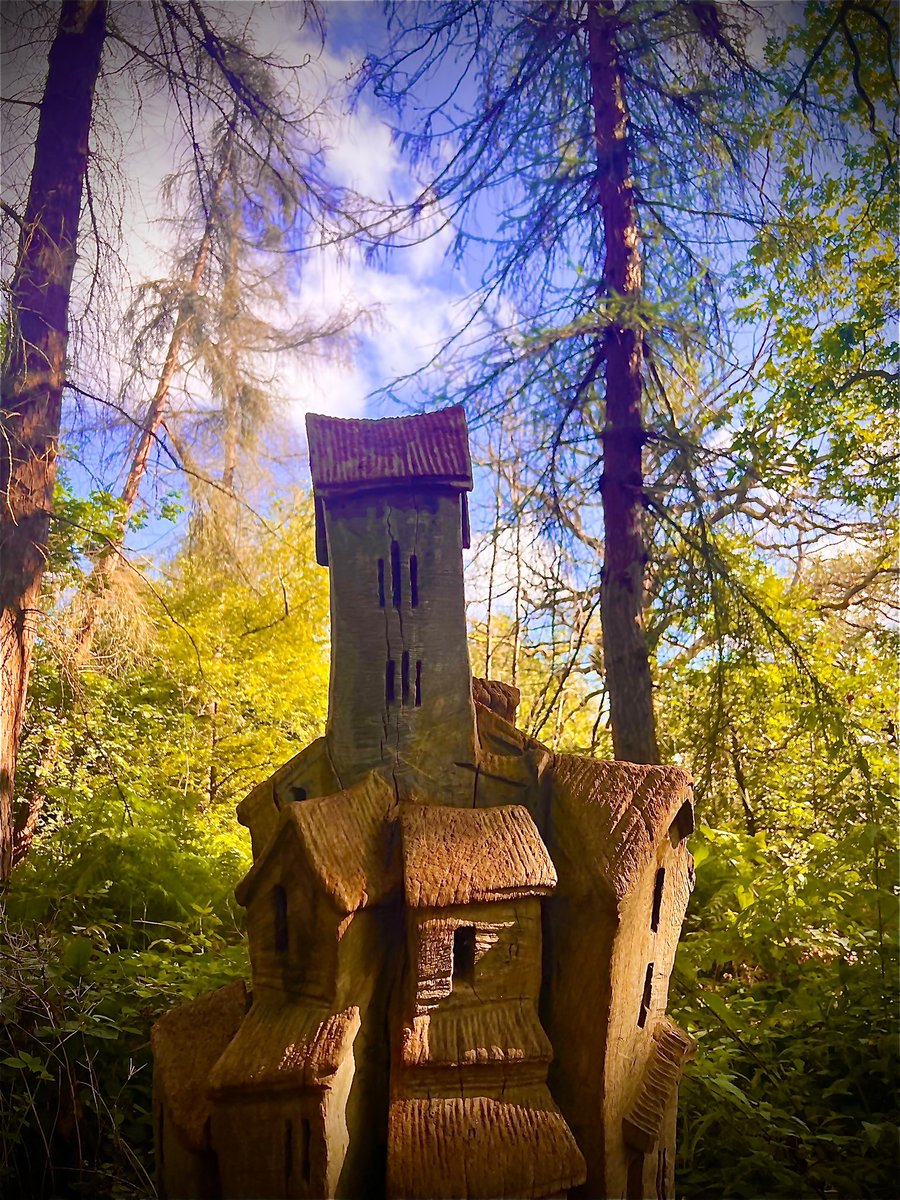 Having a walk through pixie woods.