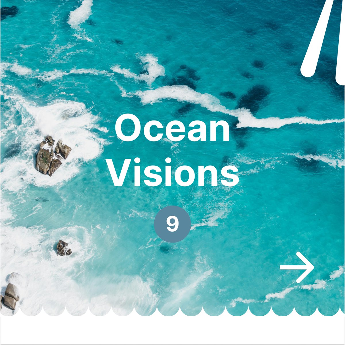 Ocean. Now. tweet media
