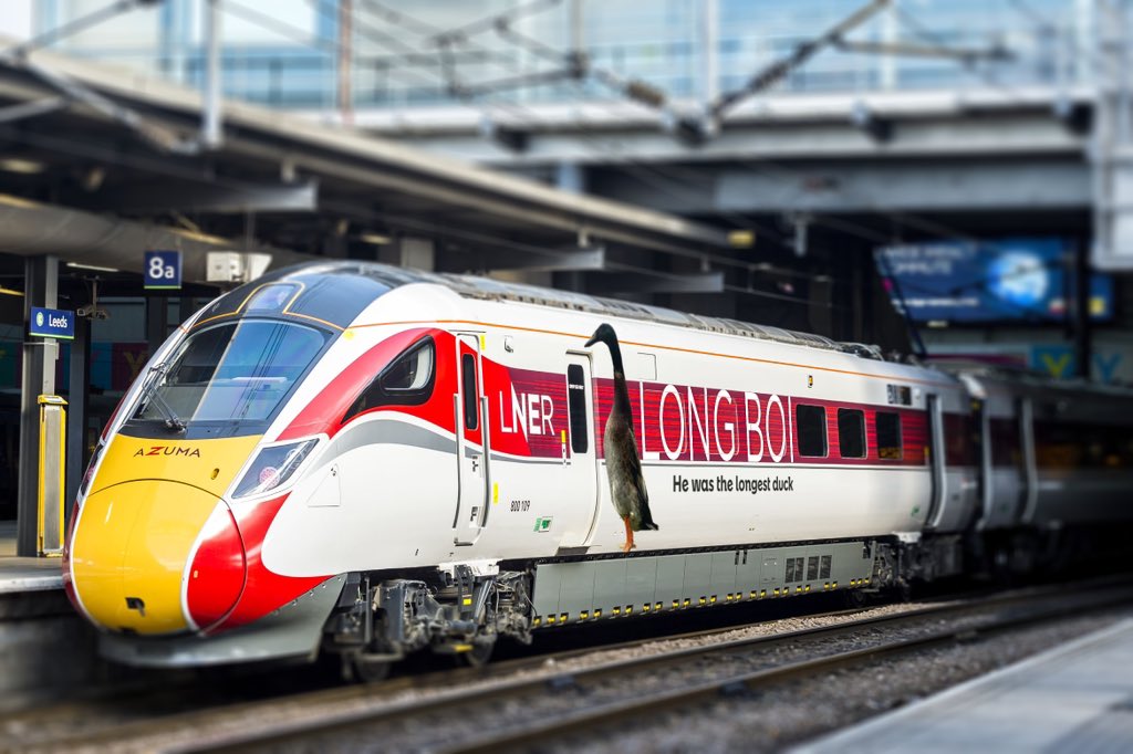 A löngthy livery for the löngthiest boi 🦆

We’re all listening this morning ❤️