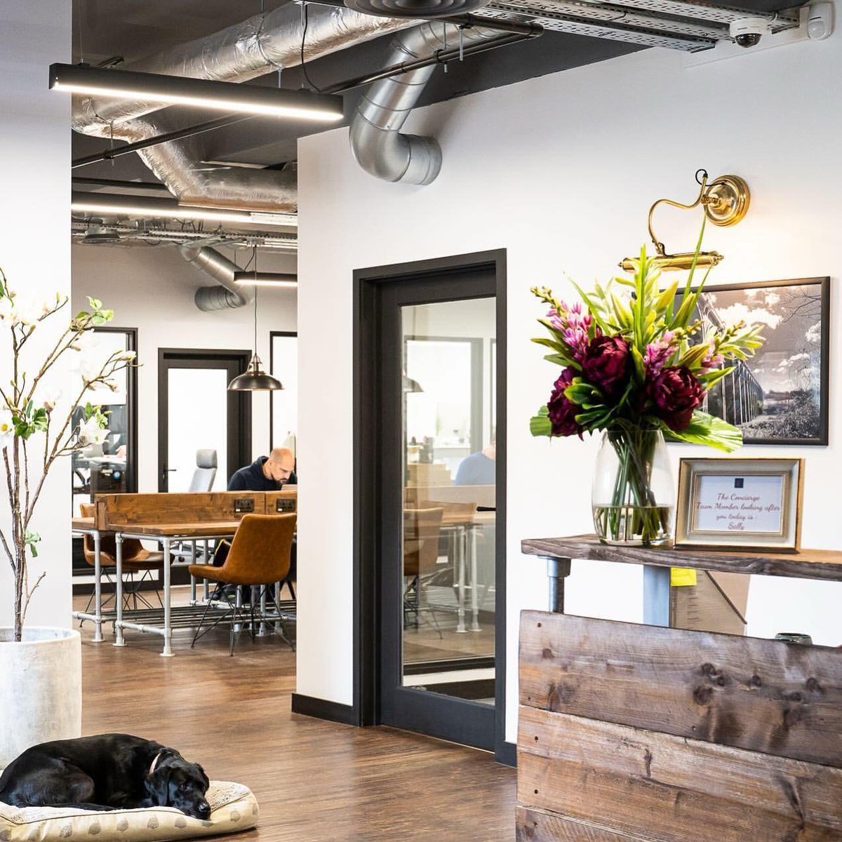 At Freshmill we pride ourselves on being more than just your average office and we love it✨ 
Contact our team today: 
📞 01444 224400 
💻 freshmill.co.uk

#JoinOurCommunity #FreshmillHaywardsHeath #OfficeGoals #CoworkingSpace #HaywardsHeath #WestSussex