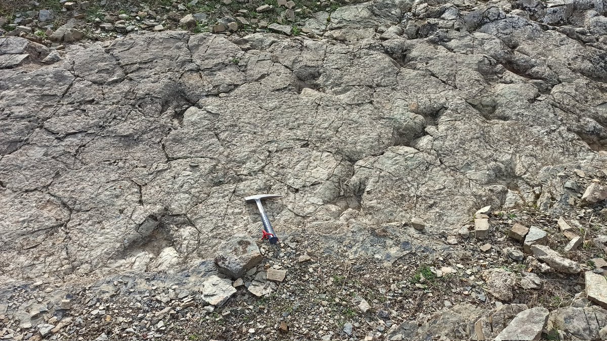 Lab. Patrimonio Natural tweet media