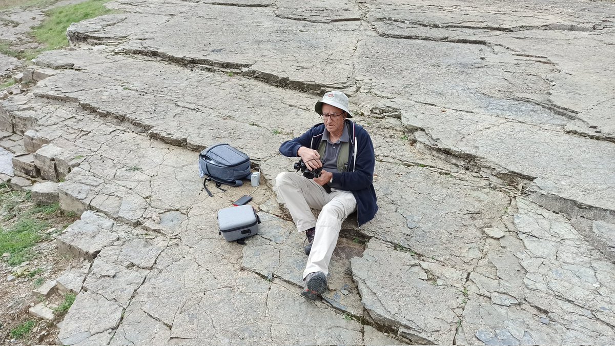 Lab. Patrimonio Natural tweet media