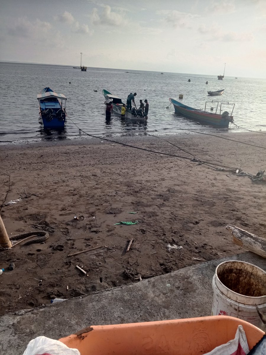 Sinhardjun's tweet photo. Selasa (25-09-2024) @Sinhardjun
Luhkan Kota Ternate mendata  hasil tangkap  Bpk. Sumarno Evendi nelayan  Kel. Jambula Kec. Pulau Ternate Kota, ikan Tuna  sebanyak 200 kg harga jual 37.000/kg #GiatLuhkanSatminkalAmbon #puslatluh #produksi #Ternate https://t.co/EsVkjC5e4P