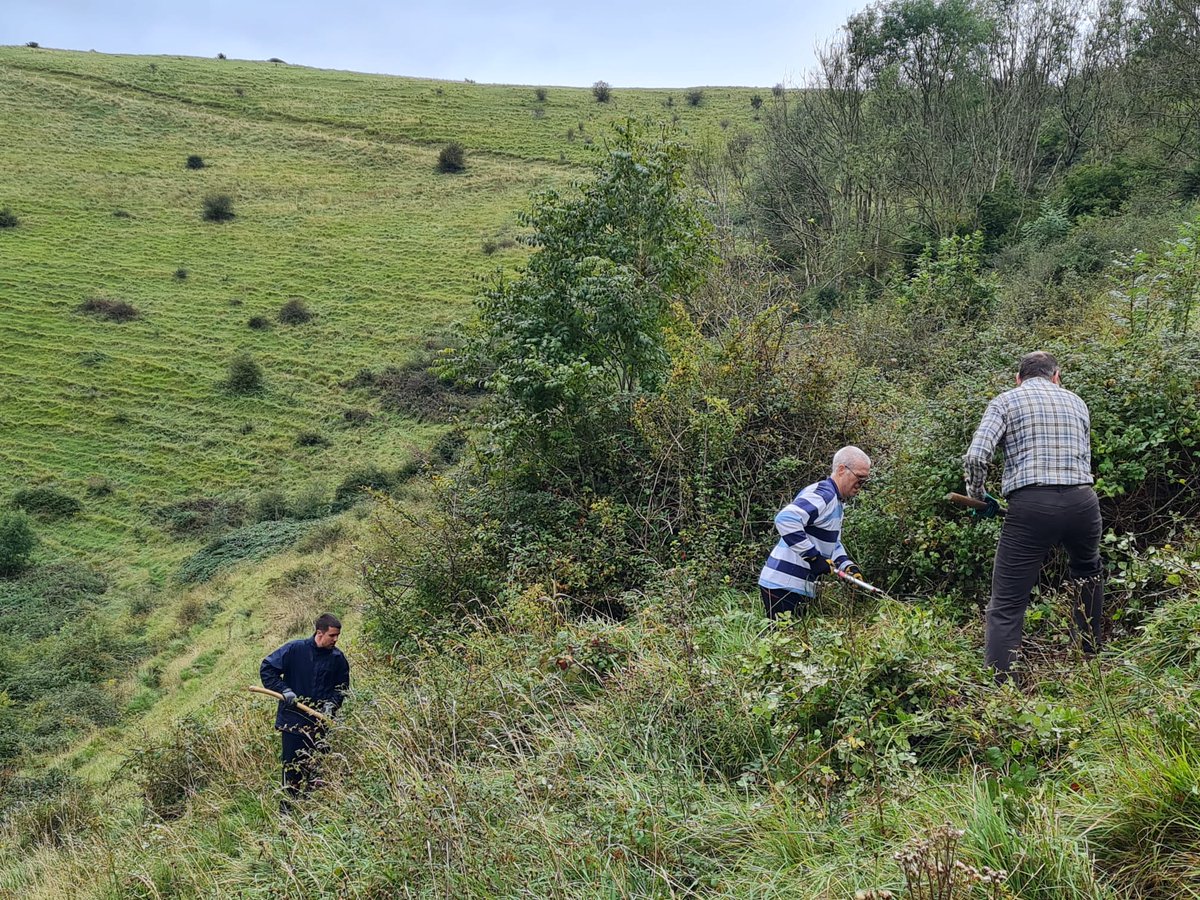 Buglife (@buzz_dont_tweet) on Twitter photo #ChangingChalk Conservation Officer, Alice, was joined by volunteers from Buglife #CorporateInvestors, <a href="/aurumfunds/">Aurum Funds</a> on Tuesday.
🦗This fantastic group enjoyed a bit of scrub bashing on the #SouthDowns, helping restore some chalk grassland for pollinators & Wart-biters.
🧵/1 #ChangingChalk Conservation Officer, Alice, was joined by volunteers from Buglife #CorporateInvestors, <a href="/aurumfunds/">Aurum Funds</a> on Tuesday.
🦗This fantastic group enjoyed a bit of scrub bashing on the #SouthDowns, helping restore some chalk grassland for pollinators & Wart-biters.
🧵/1
