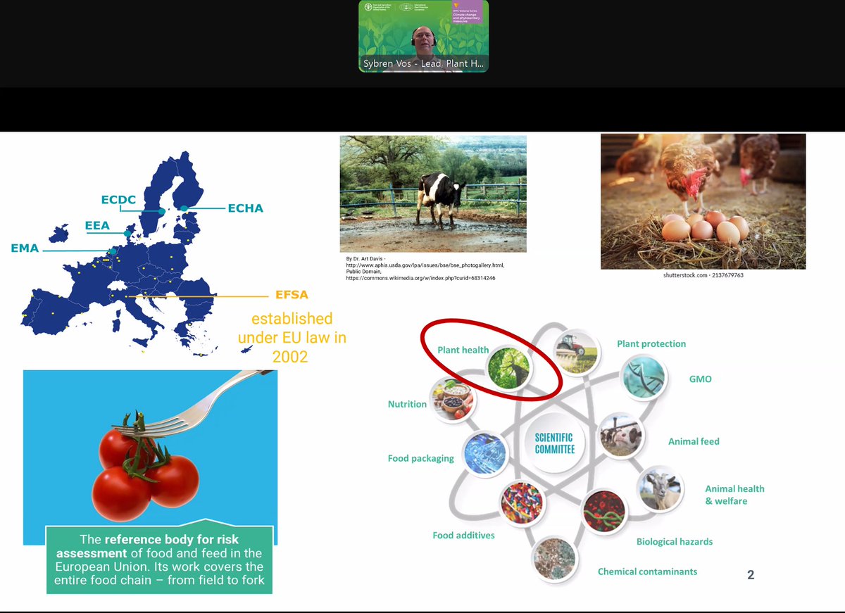 Plants EFSA tweet media