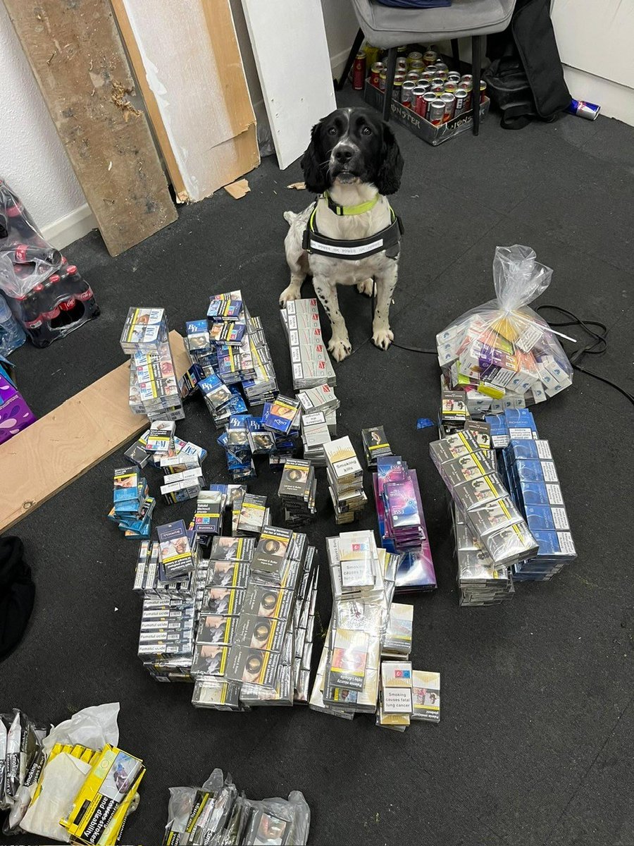 HCC_TS's tweet photo. As part of #OpCeCe our officers have been working with partners including @HMRCgovuk and @WagtailUK_dogs. Approximately 40,000 cigarettes, 9kg of tobacco and 300 vapes have been seized. Criminals hide these illegal products but our partners are experts at sniffing them out ๐ถ https://t.co/UhqhzIR0pZ