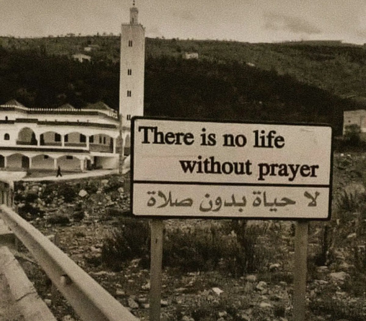 Al__Quraan's tweet photo. https://t.co/zwuG4r5dT4