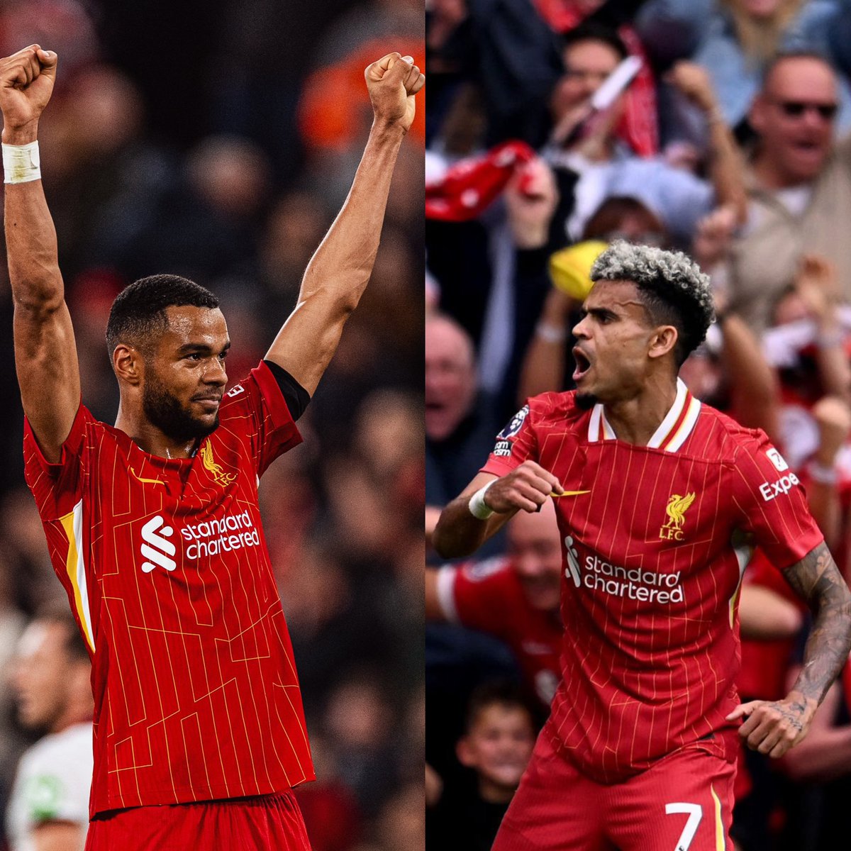 Anfield Sector tweet media