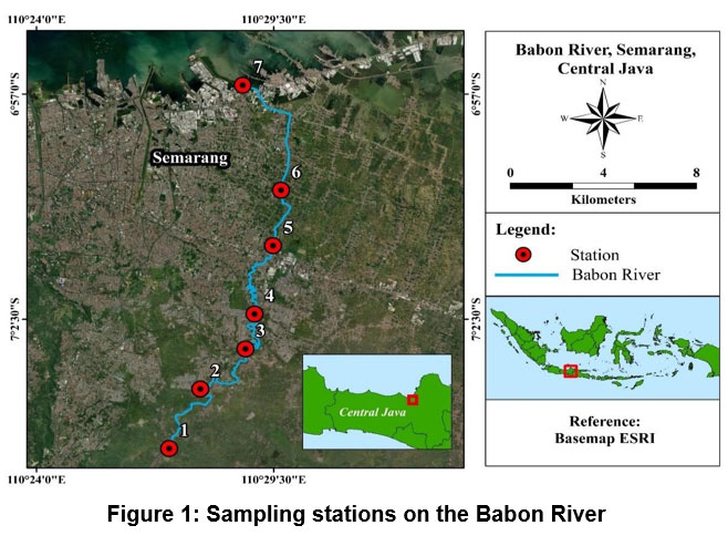 cwejournal's tweet image. Effects of Aquatic Physicochemical Parameters Variation on the Phytoplankton Abundance and Diversity in the Babon River, (Semarang, Central Java, Indonesia)
Learn more here: cwejournal.org/vol2no2/peffec…
#DiversityIndex #Metals #Nutrients #pH #Phytoplankton #abundance #Temperature