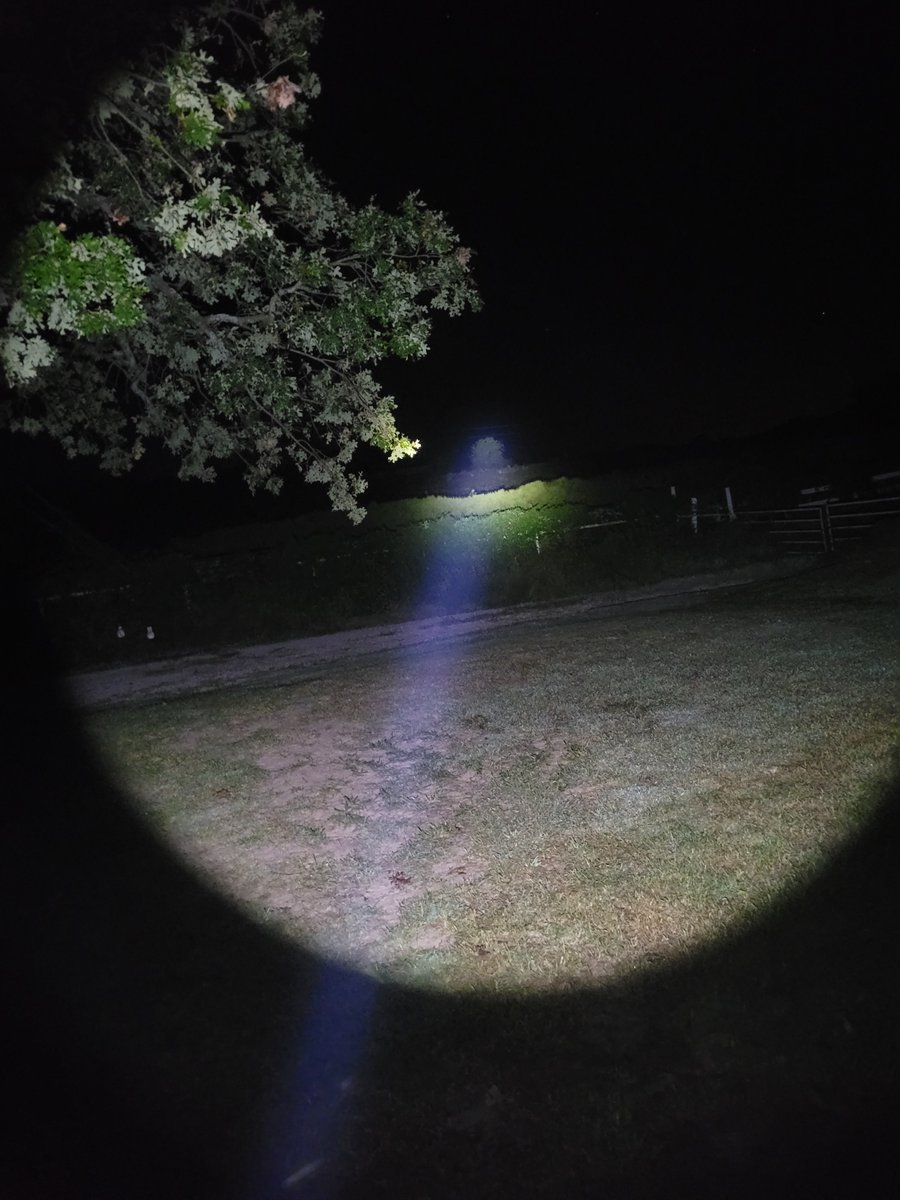 n0wayyy_no's tweet photo. I was really just hoping for a cheaper light for spare emergency rifles that wouldn't die after 1000 rounds of recoil, but @GoonBeam brings the candela. That tree is like 350 yards away. https://t.co/gqBBkihMhW